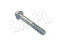 SRUBA NAPINACZA 300 TDI FB110131LG-BM