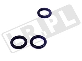 ORING MECHANIZMU DIFF LOCK REDUKTORA LT FRC5576GEN