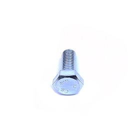 SRUBA M10 X 25MM WSPORNIKA NADWOZIA , WS FS110256ALL