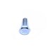 SRUBA M10 X 25MM WSPORNIKA NADWOZIA , WS FS110256ALL