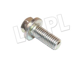 SCREW FS112281LGEN