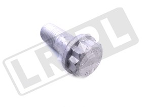 SRUBA ZACISKU HAMULCOWEGO DISCO II / RR FTC2996G