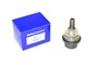 SWORZEN ZWROTNICY DOL - RR P38 / DISCOVE FTC3571