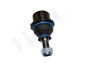 SWORZEN ZWROTNICY DOL - RR P38 / DISCOVE FTC3571DELPHI