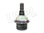 SWORZEN ZWROTNICY DOL - RR P38 / DISCOVE FTC3571G