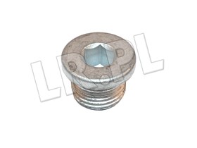 KOREK SPUSTOWY OLEJU SKRZYNI MANUAL ZF S IYB500020G