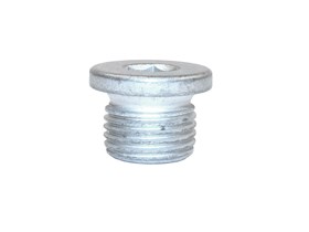 KOREK SPUSTOWY OLEJU SKRZYNI MANUAL ZF S IYB500020GEN