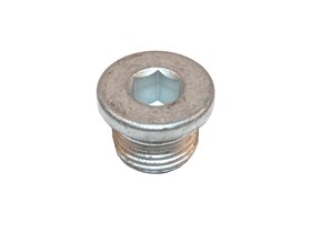 KOREK SPUSTOWY OLEJU SKRZYNI MANUAL ZF S IYB500020GEN