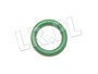 ORING PRZEWODOW KLIMATYZACJI RR P38 JUU100110LGEN