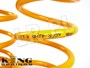 SPREZYNA KING SPRINGS - PRZOD +2" - NISS KDFR-42HD