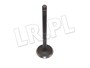 ZAWOR SSACY 1,8 BENZYNA FREEL. LGH10029L