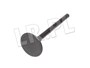 ZAWOR SSACY 1,8 BENZYNA FREEL. LGH10029L