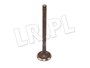 ZAWOR WYDECH. 1,8 BENZYNA FREEL. LGH101190LGEN