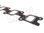 USZCZELKA KOLEKTORA SSACEGO TD5 LKJ000010ELRING