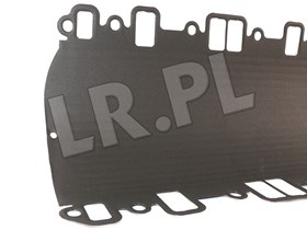 USZCZELKA KOLEKTORA SSACEGO V8 DEF / DIS LKJ500020G