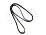 PASEK GLOWNY PLASKI FREELANDER 2 DIESEL LR000996DAYCO