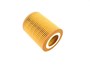 FILTR OLEJU - FREELANDER 2 BENZYNA LR001419ALL