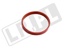 USZCZELKA PRZEPUSTNICY POWIETRZA 3,6 V8 LR004032GEN