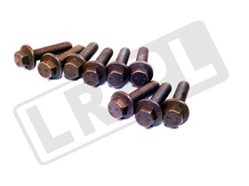 SRUBA M8 X 16 PROWADNICY LANCUCHA ROZRZA LR004338GEN