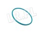 ORING POMPY WTRYSKOWEJ 2,4 DIESEL DEFEND LR004364GEN