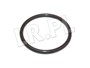 ORING POMPY WODY DEFENDER OD 2007 LR004614GEN