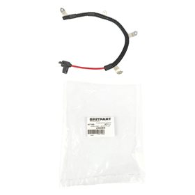 WIAZKA ELEKTRYCZNA SWIEC ZAROWYCH - DEFE LR004840G