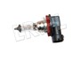ZAROWKA H11 12V55W - FREELANDER 2 / DISC LR005383GEN
