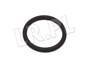 ORING ODPROWADZENIA OLEJU Z TURBINY 2,7 LR006184GEN