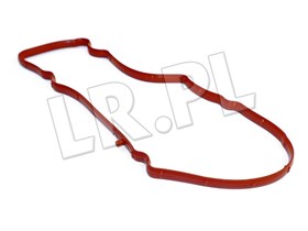 USZCZELKA ODSTOJNIKA ODMY - FREELANDER 2 LR009411REINZ