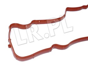 USZCZELKA ODSTOJNIKA ODMY - FREELANDER 2 LR009411REINZ