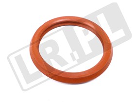 USZCZELKA ODSTOJNIKA ODMY OKRAGLA - FREE LR009412REINZ