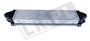 CHLODNICA INTERCOOLER FREELANDER 2 DIESE LR009802NISSENS