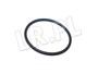 ORING POMPY PALIWA DISCOVERY 4 , 5 , RAN LR010861GEN
