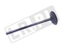 ZAWOR SSACY 5.0 V8 SC LR010863GEN