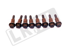 SRUBA M6 X 38MM PROWADNICY LANCUCHA LR011064GEN