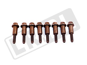 SRUBA M6 X 38MM PROWADNICY LANCUCHA LR011064GEN