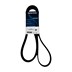 PASEK GLOWNY PLASKI 5,0 V8 DISCOVERY 4 , LR011345DAYCO