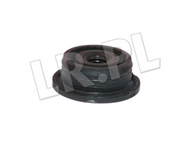 USZCZELKA SRUBY POKRYWY ZAWOROW 2,4 DEFE LR012480GEN