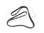 PASEK GLOWNY PLASKI RR SPORT (PRIMARY) LR012625DAYCO
