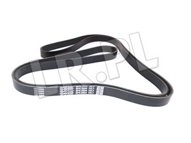 PASEK GLOWNY PLASKI RR SPORT (PRIMARY) LR012625DAYCO