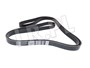 PASEK GLOWNY PLASKI RR SPORT (PRIMARY) LR012625DAYCO