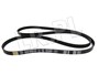 PASEK GLOWNY PLASKI RR SPORT OD 2010 5,0 LR012625GEN