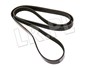 PASEK GLOWNY PLASKI DISCO 4 / RR SPORT D LR013697DAYCO