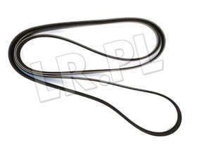 PASEK GLOWNY PLASKI DISCO 4 / RR SPORT D LR013697DAYCO
