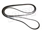 PASEK GLOWNY PLASKI DISCO 4 / RR SPORT D LR013697DAYCO