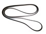 PASEK GLOWNY PLASKI DISCO 4 / RR SPORT D LR013697DAYCO