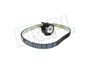 PASEK ROZRZADU Z NAPINACZEM (TYL) 3.0 V6 LR016656DAYCO