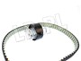 PASEK ROZRZADU Z NAPINACZEM (TYL) 3.0 V6 LR016656DAYCO