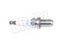 SWIECA ZAPLONOWA - RR L322 4,4 V8 LR021006NGK