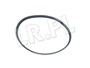 PASEK GLOWNY PLASKI RR OD 2010 4,4 V8 DI LR022804GEN